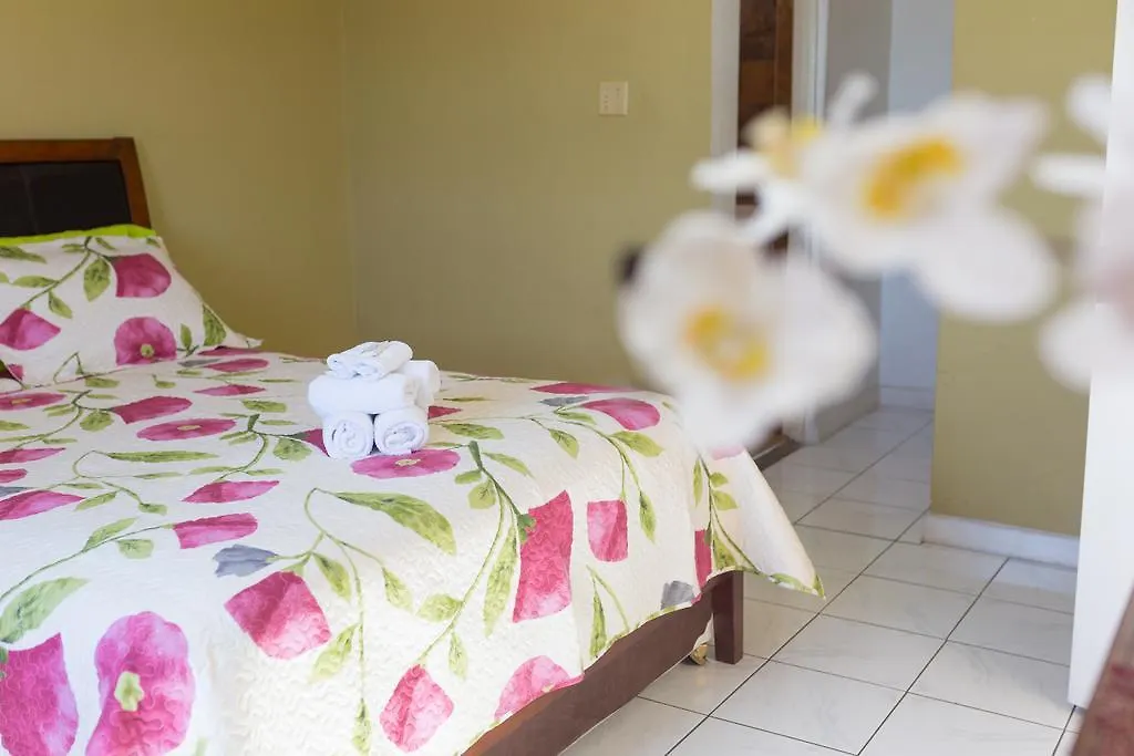The Dorchester Kingston Jamaica
